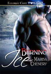 Burning Ice