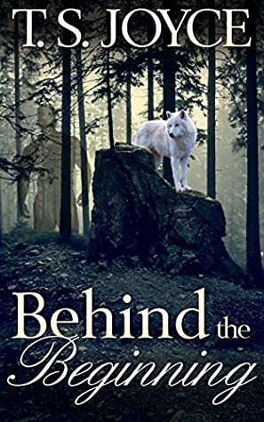 Behind the Beginning