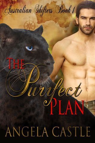 The Purrfect Plan
