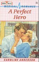 A Perfect Hero