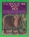 The Moon of the Wild Pigs