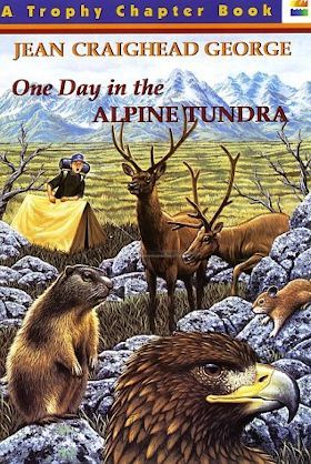 One Day in the Alpine Tundra