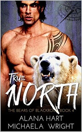 True North