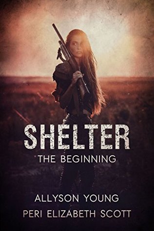 Shelter: The Beginning